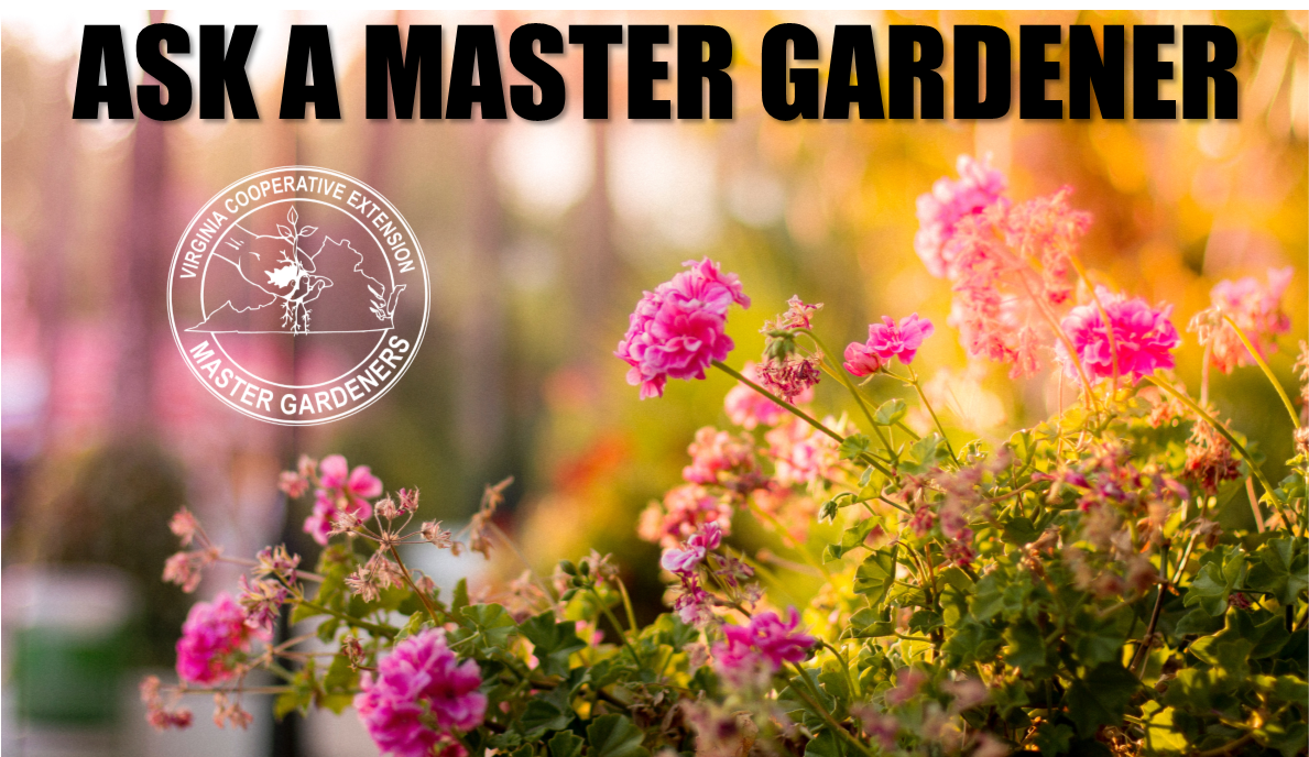 Ask a Master Gardener photo