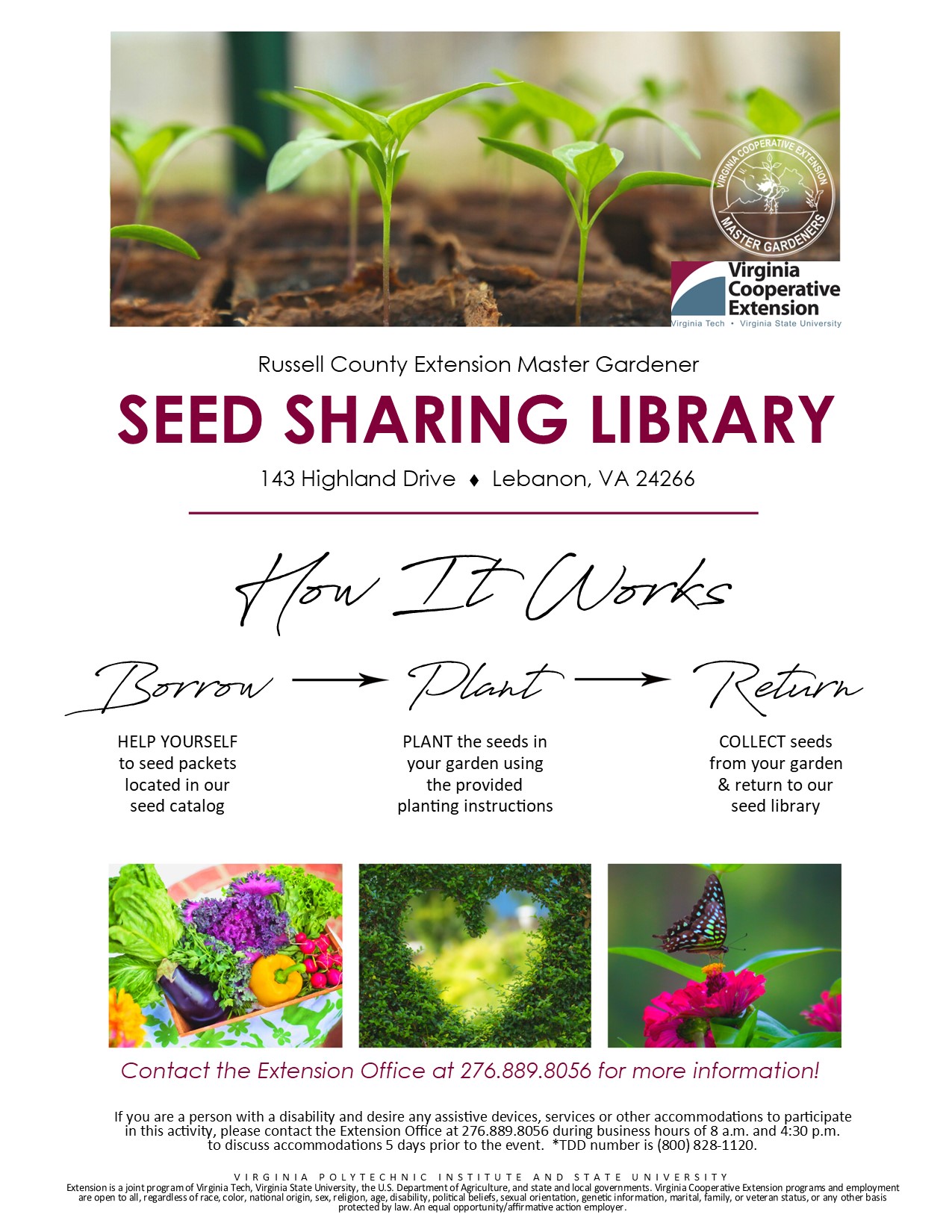 Seed Sharing Library.jpg