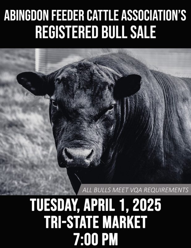  Bull Catalog Cover 2025.jpg